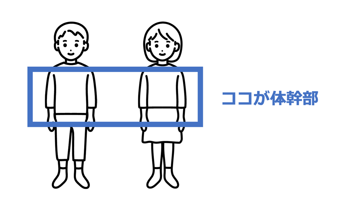 体幹部の図解