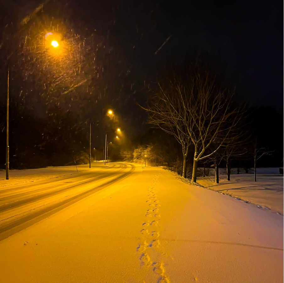 スウェーデンの雪道